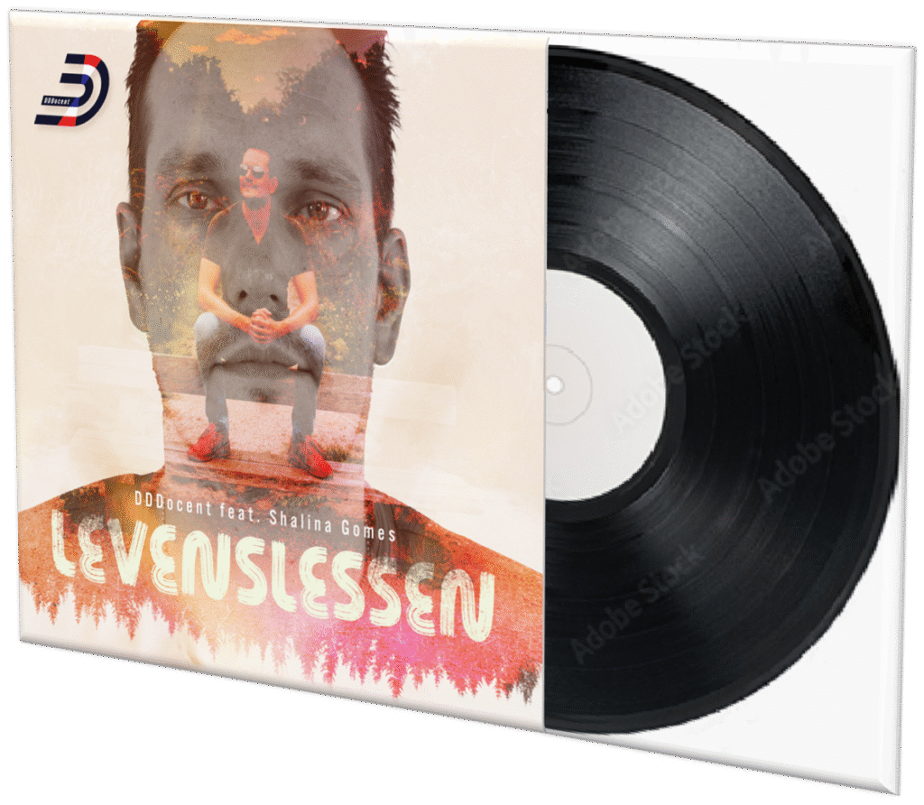 Levenslessen vinyl-single